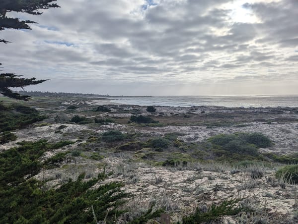 Operational Benefits of Databases Built on Object Storage